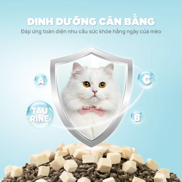 PetQ - Thức ăn hạt Donut D90 200g