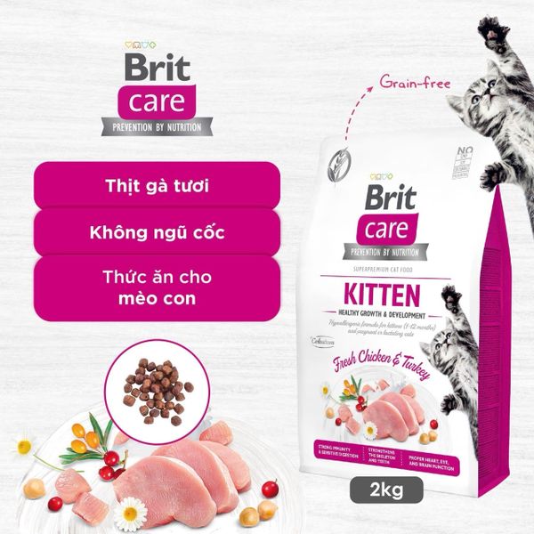 Brit Care Cat Kitten Healthy Growth & Development – Hạt khô cho mèo con, hỗ trợ phát triển khỏe mạnh (Chicken&Turkey)2kg/7kg