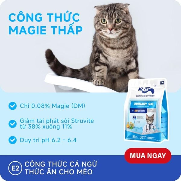 Hạt Cho Mèo MRVET E2 Urinary (S/O) - Chăm Sóc Tiết Niệu-Thận (Gói 1kg)