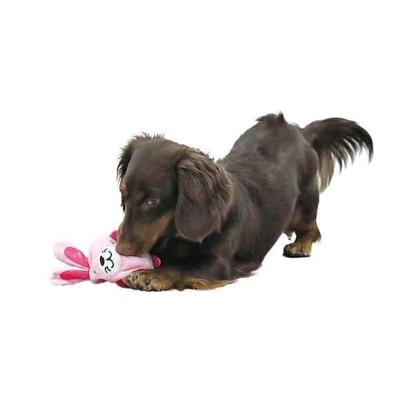 DoggyMan - Đồ Chơi Pupi Hình Động Vật