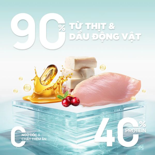 PetQ - Thức ăn hạt cho mèo Churro C90 (50g/1kg)