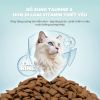 PetQ - Thức ăn hạt cho mèo Churro C90 (50g/1kg)