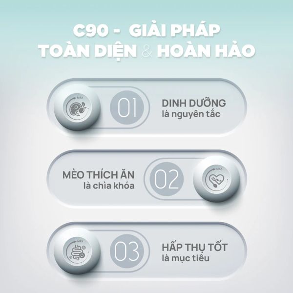 PetQ - Thức ăn hạt cho mèo Churro C90 (50g/1kg)