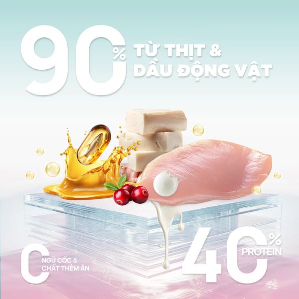 PetQ - Thức ăn hạt cho mèo Churro C90K 1kg