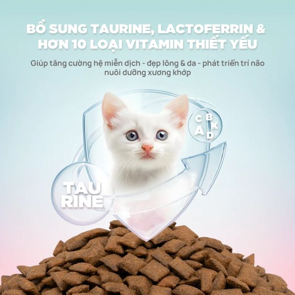 PetQ - Thức ăn hạt cho mèo Churro C90K 1kg