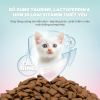 PetQ - Thức ăn hạt cho mèo Churro C90K 1kg