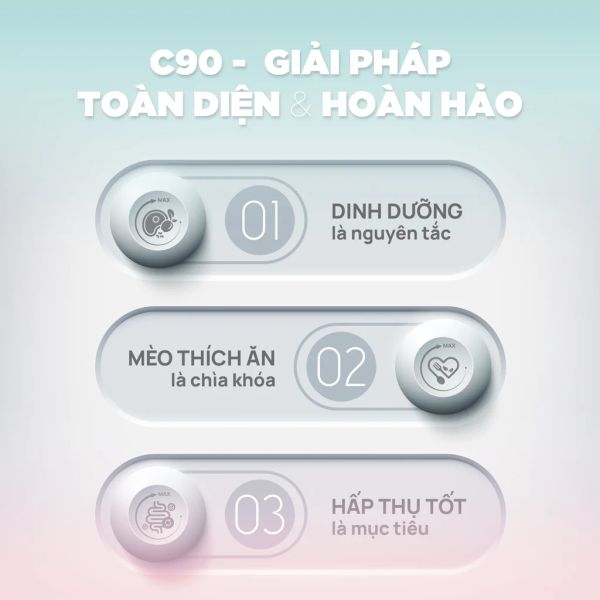 PetQ - Thức ăn hạt cho mèo Churro C90K 1kg