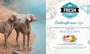 Brit Fresh Dog Fish with Pumpkin Adult Large - Muscles&Joints 2.5kg