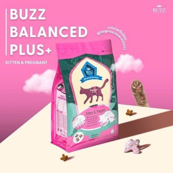 Buzz Advanced Nutrition Kitten & Pregnant–Hạt Dinh Dưỡng Cho Mèo Con & Mèo Mẹ (1kg)