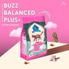 Buzz Advanced Nutrition Kitten & Pregnant–Hạt Dinh Dưỡng Cho Mèo Con & Mèo Mẹ (1kg)