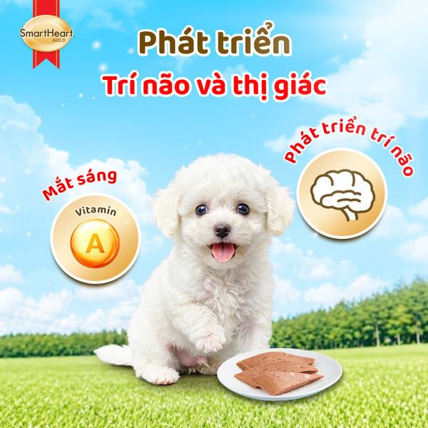 SmartHeart Gold Pate Cho Chó Con Cao Cấp  80g