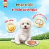 SmartHeart Gold Pate Cho Chó Con Cao Cấp  80g