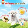 SmartHeart Gold Pate Cho Chó Con Cao Cấp  80g