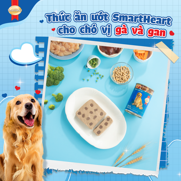 Smartheart Pate Vị Thịt Gà Và Gan - Chicken&Liver For Adult Dog 400g