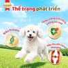 SmartHeart Gold Pate Cho Chó Cao Cấp Hỗ Trợ Tiêu Hoá 80g
