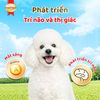 SmartHeart Gold Pate Cho Chó Cao Cấp Hỗ Trợ Tiêu Hoá 80g