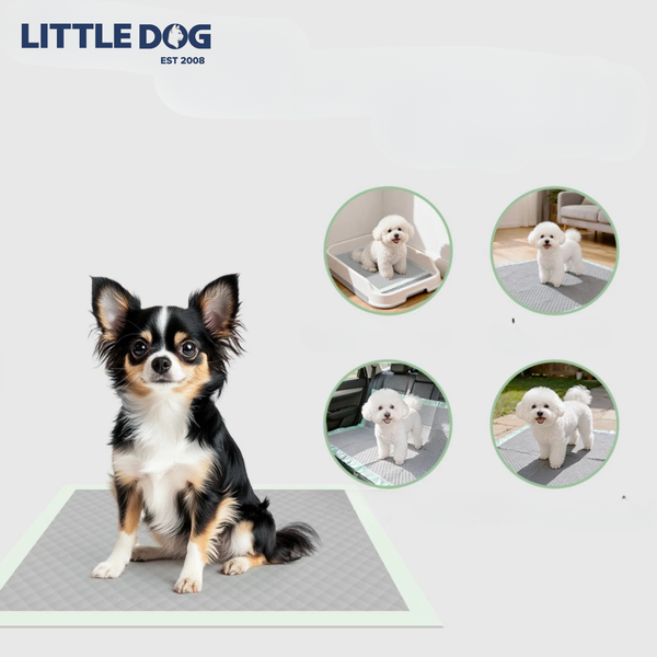 Tả Lót Cho Thú Cưng - HoneyCare Petpad Carbon - Size S/M/L