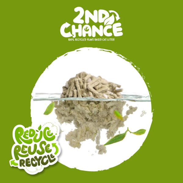 Cát đậu nành Kit Cat 2nd Chance - Cát vệ sinh cho mèo thế hệ mới