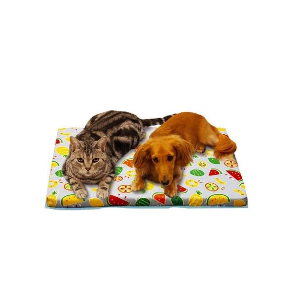 DoggyMan - Nệm Chữ Nhật Cho Thú Cưng