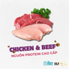 Hạt H&J Premium Cat cho Mèo