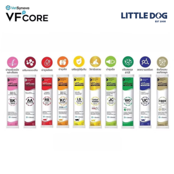 VF+CORE - SOUP THƯỞNG DÀNH CHO MÈO