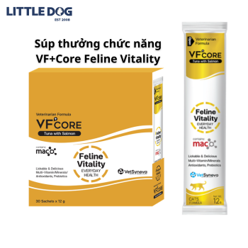 VF+CORE - SOUP THƯỞNG DÀNH CHO MÈO