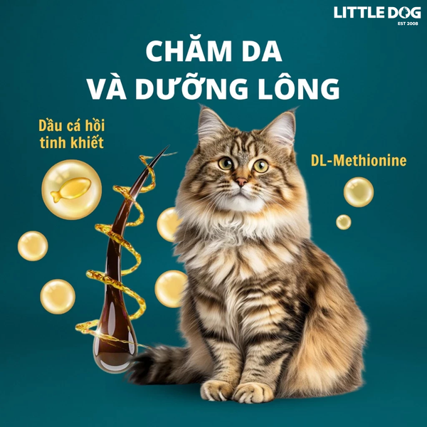 Thức ăn hạt khô Zoi Cat Food Adult Mix Flavor 1kg/20kg