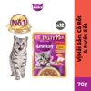 Pate Whiskas Tasty Mix In Gravy - Thịt Nấu Sốt Cho Mèo 70g