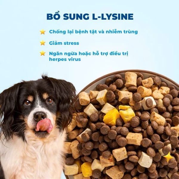 MR.VET D1 Hạt Khô Cao Cấp Cho Chó (1.4KG)