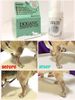 Doganic Spray 35ml - Thuốc Trị Viêm Da Doganic Dạng Xịt