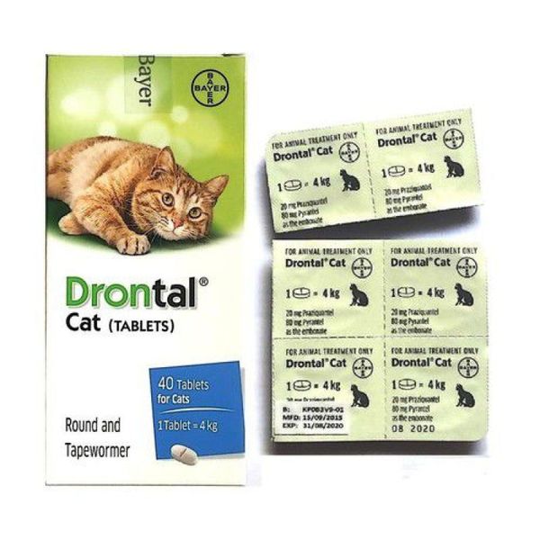 Bayer Drontal Sổ Giun Cho Mèo