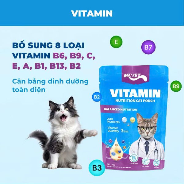 Pate Cho Mèo MR.VET (70G) - Vị Cá Ngừ và Cá Hồi