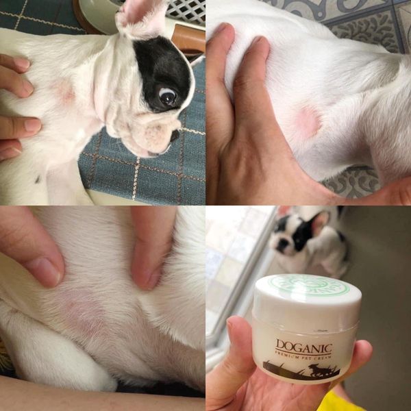 Doganic Pet Cream 30g - Kem Bôi Trị Viêm Da
