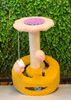 Trụ Cào Jian Bông Hoa 232425 - Jian Cat Tree Flower232425