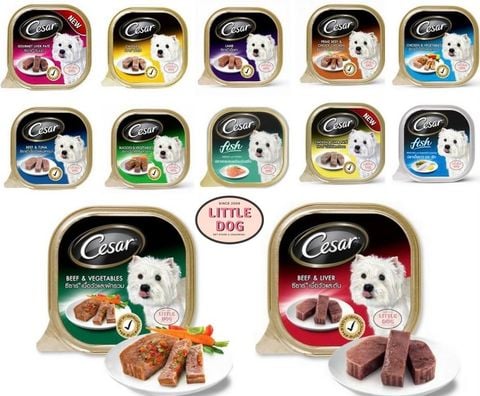 Cesar Pate - Thịt Hộp Cho Chó 100g
