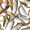 Little Paws Sardine - Cá Mồi Sấy - 80G/160G
