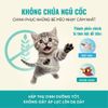 Thức Ăn Hạt Cao Cấp Cho Mèo - Bite of Wild 6 Fish Formula F42 - 1Kg