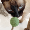 Đồ chơi cho mèo hình kẹo mút - Catwant Lollipop