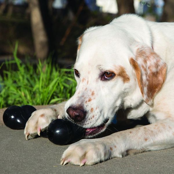 KONG® 10011 Extreme Bone Medium