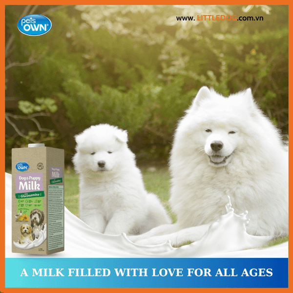 Sữa Pets Own Dành Cho Chó Mọi Lứa Tuổi 1L