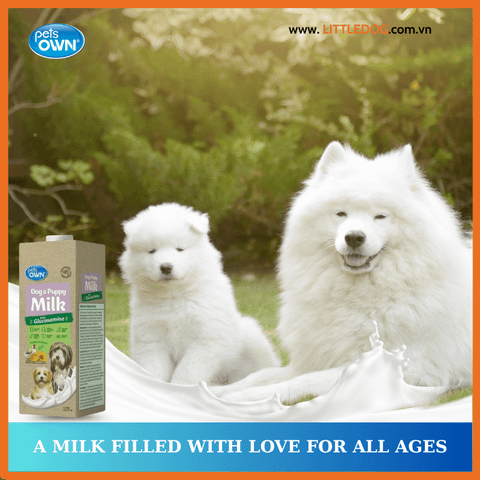 Sữa Pets Own Dành Cho Chó Mọi Lứa Tuổi 1L