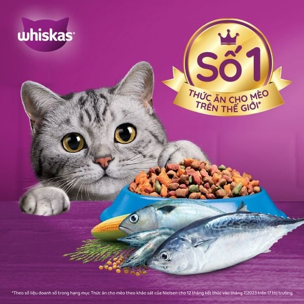 Thức ăn hạt khô Whiskas cho Mèo trưởng thành 3kg