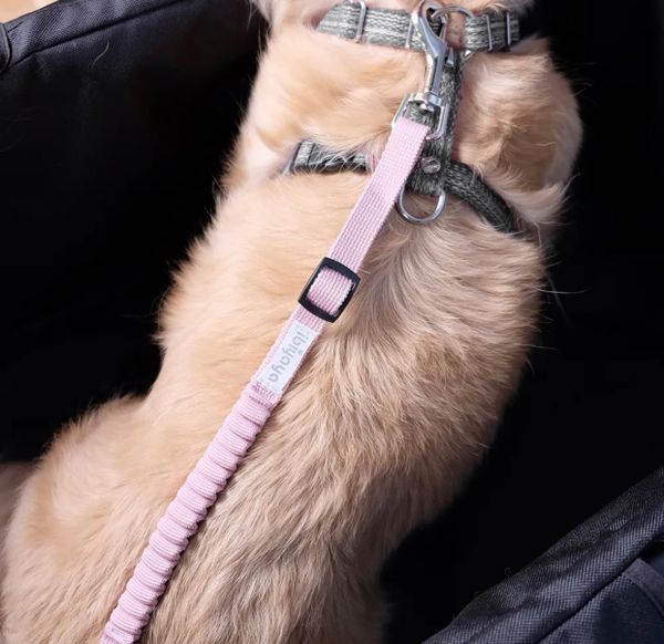 IBI Pet Stroller’s Tether