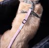 IBI Pet Stroller’s Tether