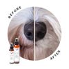 Eye Envy® – Xịt Loại Bỏ Vết Ố Lông Quanh Miệng Cho Chó