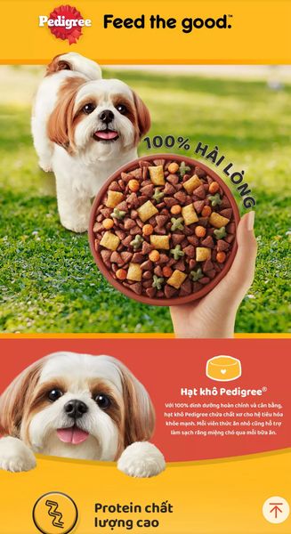 Pedigree - Thức ăn khô cho giống chó nhỏ trên 1 tuổi (400g/1.3kg)