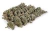Yeowww Catnip Buds - Hoa catnip cho Mèo 10g