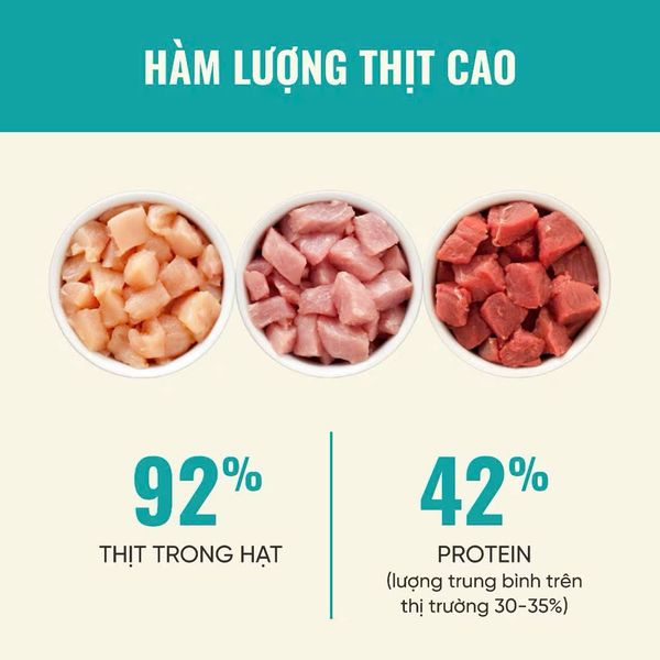 Thức Ăn Cho Mèo Cao Cấp - Bite Of Wild P42 - 1Kg