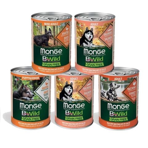 Pate Monge Bwild cho chó grainfree 400g