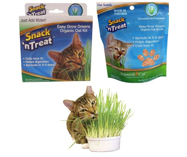 Snack’n Treat - Bộ kit trồng cỏ mèo tươi (Đất trồng + hạt giống + hộp nhựa )